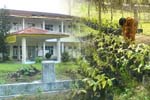 Program Reguler Sore UHAMZAH Medan Nomor 9